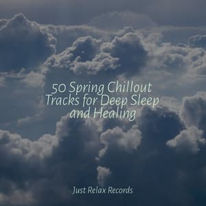 50 Spring Chillout Tracks for Deep Sleep and Healing - Música a Relajarse