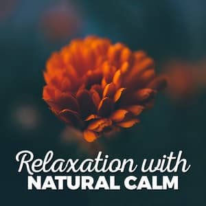 Relaxation with Natural Calm - Relaxing Nature Ambience