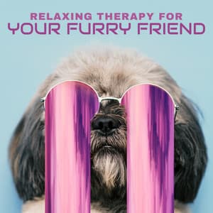 Relaxing Therapy for Your Furry Friend - Melodies for Pets: Calming & Soothing New Age Sounds - Pets Music