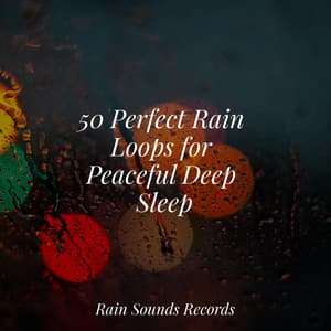 50 Perfect Rain Loops for Peaceful Deep Sleep - Rain For Deep Sleep