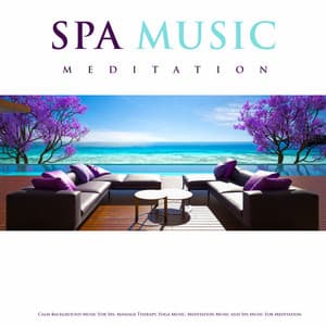 Spa Music Meditation: Calm Background Music For Spa, Massage Therapy, Yoga Music, Meditation Music and Spa Music For Meditation - Spa Music Relaxation