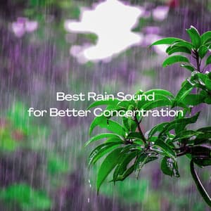 Best Rain Sound for Better Concentration - Focus and Concentration