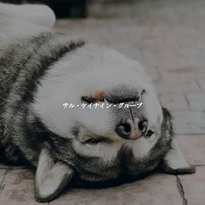 チル・ケイナイン・グルーブ - Cafe de Musica Instrumental