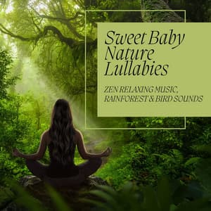 Sweet Baby Nature Lullabies: Zen Relaxing Music, Rainforest & Bird Sounds - Nature Caldwell