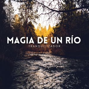 Magia De Un Río Tranquilizador - Estados de ánimo y sonidos de agua