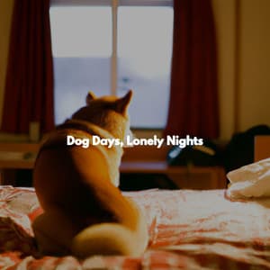 Dog Days, Lonely Nights - Chill Playlist