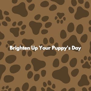 Brighten Up Your Puppy's Day - Weekend Jazz Chillout