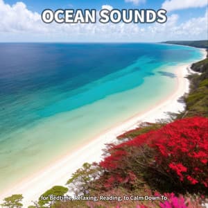 #1 Ocean Sounds for Bedtime, Relaxing, Reading, to Calm Down To - Ocean Sounds Collection