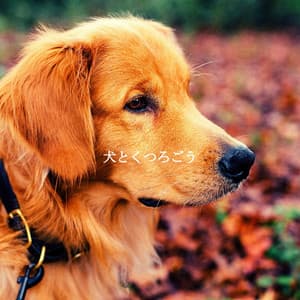 犬とくつろごう - Coffee Shop Music Supreme