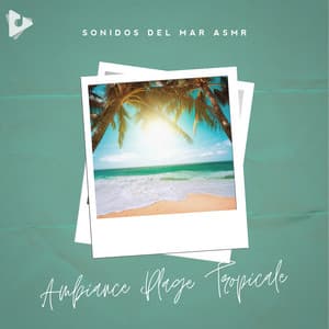 Ambiance Plage Tropicale - Sonidos Del Mar ASMR