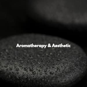 Aromatherapy & Aesthetic - Massage Spa Playlist