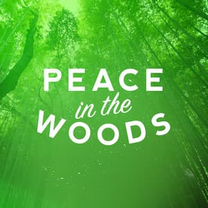 Peace in the Woods - Nature Sounds for Concentration
