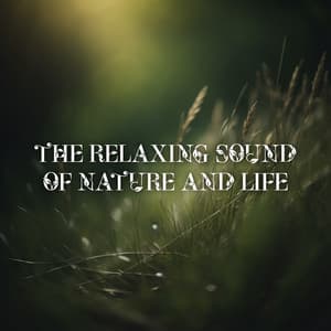 The Relaxing Sound Of Nature And Life - Green Green Grass