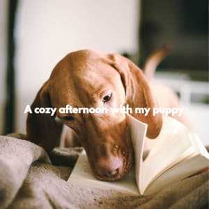 A cozy afternoon with my puppy - Soft Jazz Classics