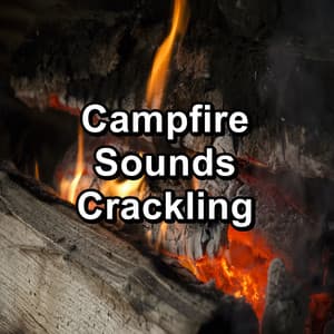 Campfire Sounds Crackling - Nature Sounds for Sleep and Relaxation