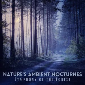 Nature's Ambient Nocturnes: Symphony of the Forest - Nature TV