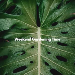 Weekend Gardening Time - Bebop Jazz