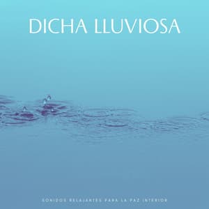 Dicha Lluviosa: Sonidos Relajantes Para La Paz Interior - Danny sonidos de lluvia