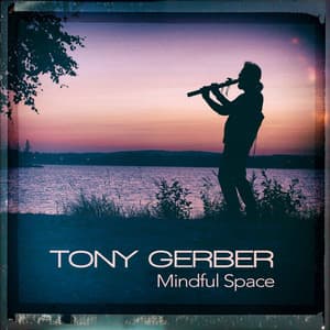 Mindful Space - Tony Gerber
