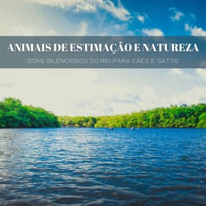 Animais De Estimação E Natureza: Sons Silenciosos Do Rio Para Cães E Gatos - Música de Relaxamento No Spa