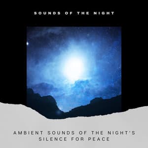 Ambient Sounds of the Night's Silence for Peace - Sounds of the Night