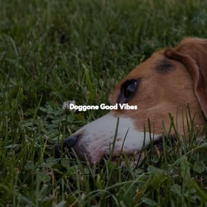 Doggone Good Vibes - Morning Brunch Music