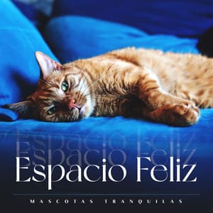 Espacio Feliz - Mascotas tranquilas
