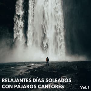 Relajantes Días Soleados Con Pájaros Cantores Vol. 1 - ASMR Anónimo