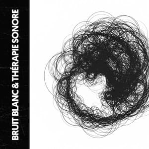 Bruit Blanc & Sonothérapie : Vide Stéréo - The White Noise Travelers