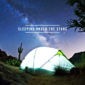 Sleeping Under the Stars: Calm New Age - Stages of Sleep Music Universe