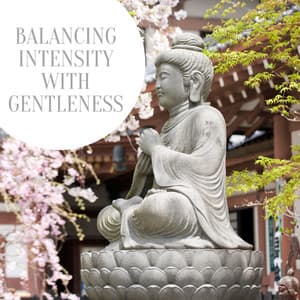 Balancing Intensity with Gentleness - Chakra Meditation Universe