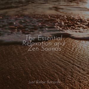 The Essential Relaxation and Zen Sounds - Forest Sounds