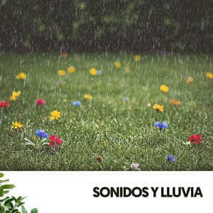 Sonidos y Lluvia: Canto a la lluvia - Cat Music Therapy