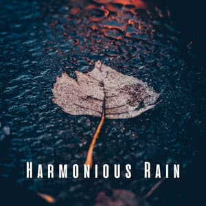 Harmonious Rain: Ambient Sounds for Blissful Massages - Berlin Rain