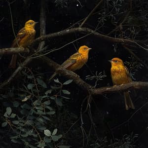 Restful Night: Binaural Birds and Nature Sleep Sounds - Sleep Music with Nature Sounds Relaxation