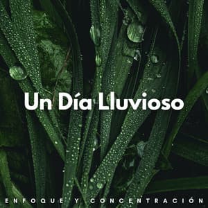 Un Día Lluvioso: Enfoque Y Concentración - Sonidos de lluvia de concentración