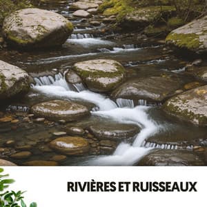Sons de la Rivière et Musique : Le Chant du Courant - Relajacion