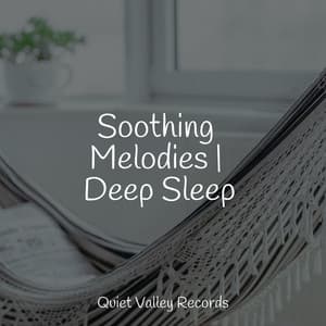 Soothing Melodies | Deep Sleep - Lluvia PQ