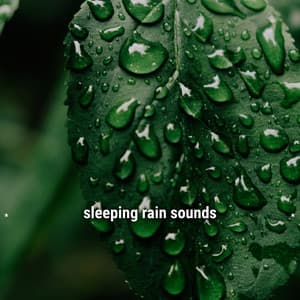 * sleeping rain sounds * - Lightning, Thunder and Rain Storm