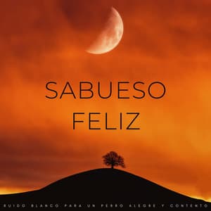 Sabueso Feliz: Ruido Blanco Para Un Perro Alegre Y Contento - Los viajeros de ruido blanco