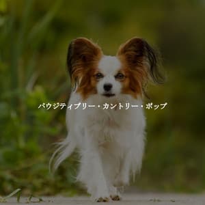 パウジティブリー・カントリー・ポップ - Evening Jazz Bgm