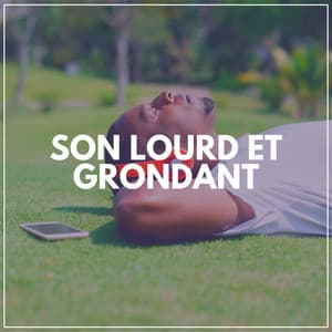Son Lourd ET Grondant - Bruit Brun