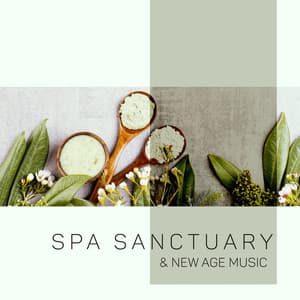 Spa Sanctuary & New Age Music: Body and Soul Relaxation, Curing Therapy - Singing Birds Zone