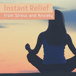 Instant Relief from Stress and Anxiety: The Best Meditation Music, Nature Sounds, Detox Negative Emotions, Calm your Mind, Body & Spirit - Quiet Music Academy