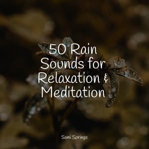 50 Rain Sounds for Relaxation & Meditation - Binaural Creations