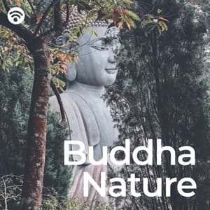 Buddha Nature: Celestial Resonance of Enlightenment - Buddhismus Ruhe