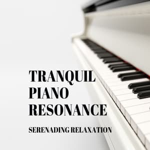 Tranquil Piano Resonance: Serenading Relaxation - Piano Covers