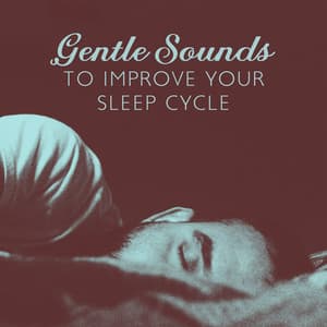 Gentle Sounds to Improve Your Sleep Cycle - Silent Nights & Long Dreams - Soft Sleeping Melodies