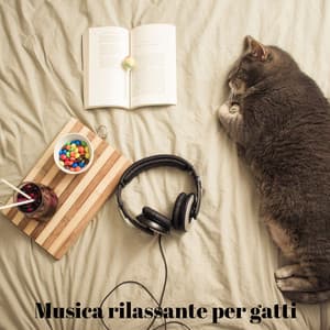 Musica rilassante per gatti: musica terapeutica per l'ansia e il sonno tranquillo del gatto - Rilassa la musica dei gatti