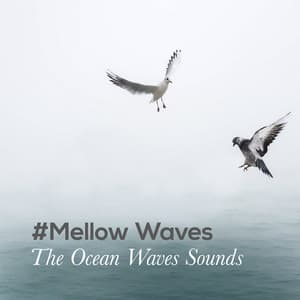#Mellow Waves - The Ocean Waves Sounds